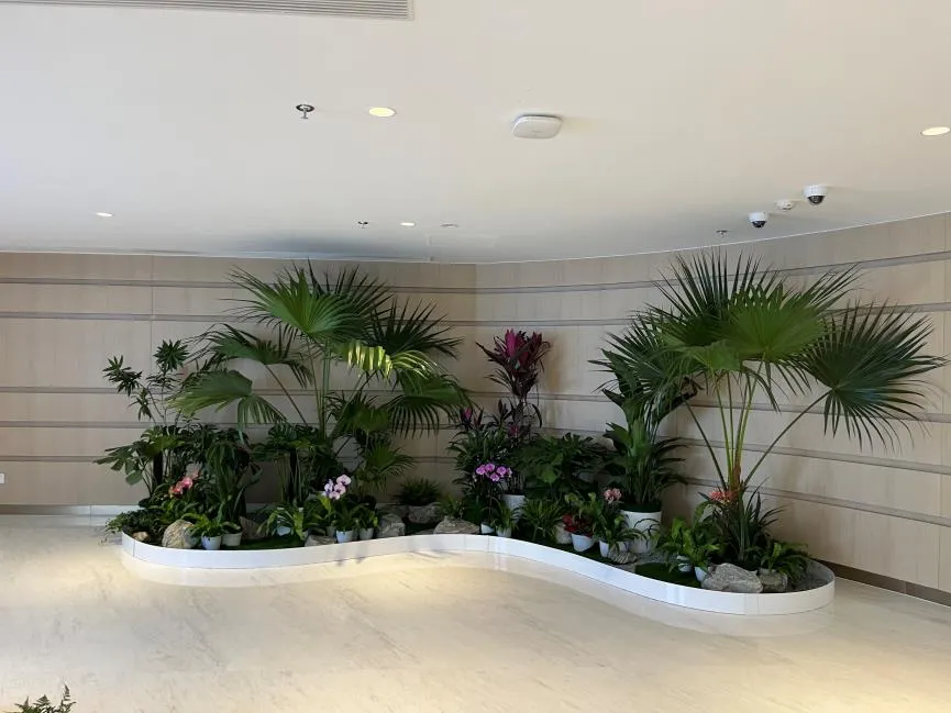 惊叹!前湾花木租摆,服务好到让你惊艳不已!